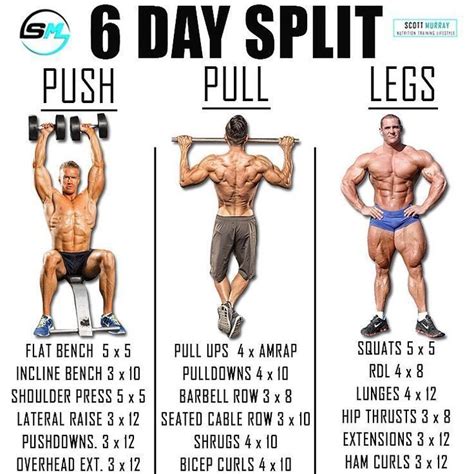 victoreide|Victors 6 Day/week Muscle Building Program (Push/Pull/Legs Split)